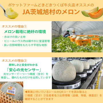 商品番号④輝4L3玉ミックスメロン | どきどきネットショップ